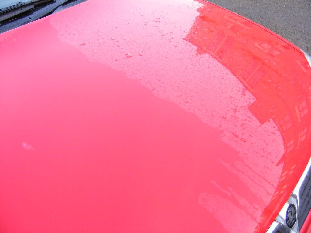 DSCF0768.jpg