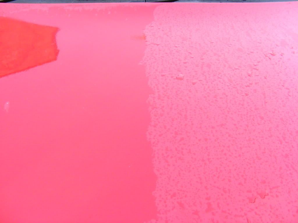 DSCF0769.jpg