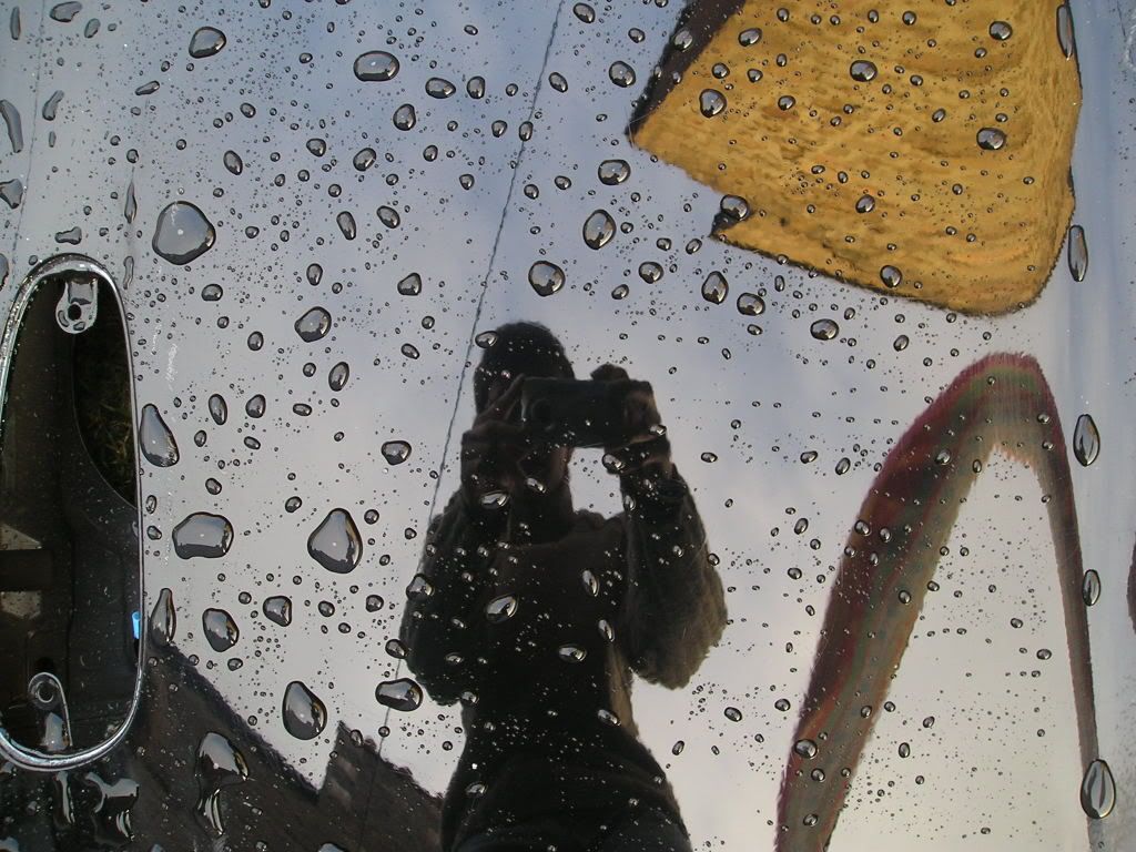 Beading Just What Does It Mean? Detailing World Forum