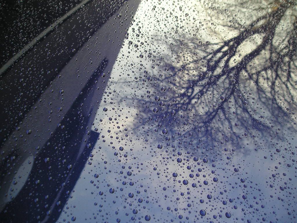 P1010002-15.jpg