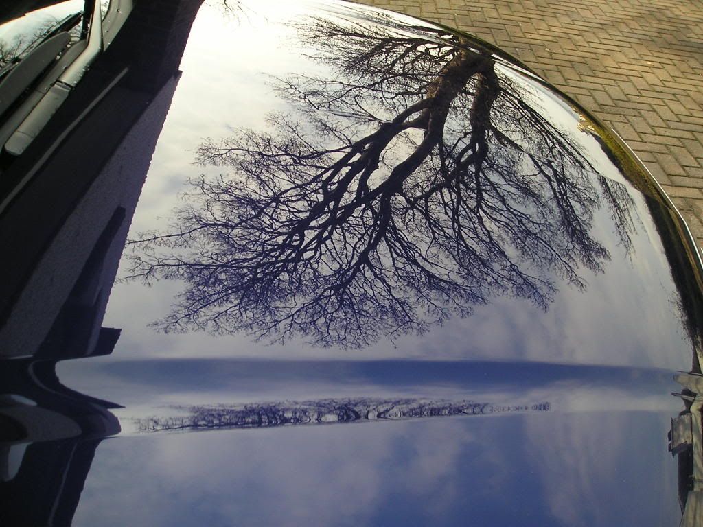 P1010010-16.jpg