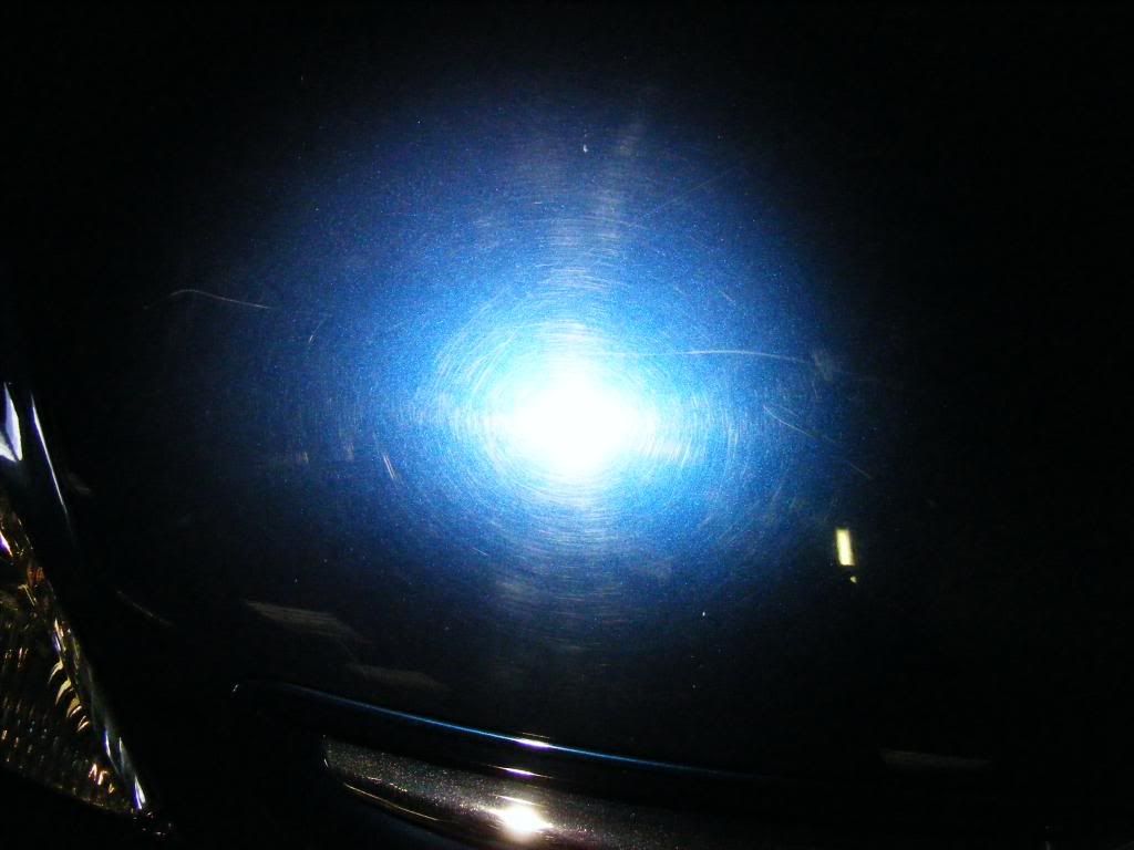 2008_1114Picaso0004.jpg