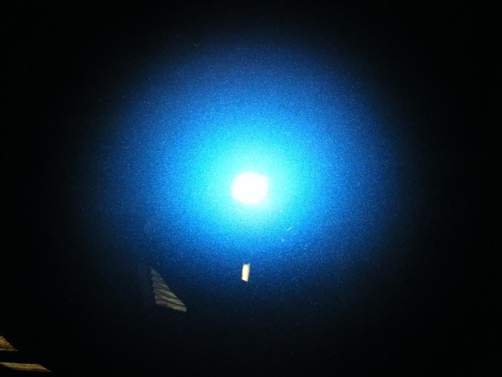 2008_1114Picaso0025.jpg