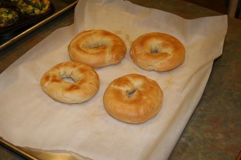 How to make bagels from scratch The Foodwhisperer