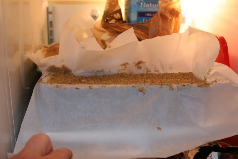 mold
