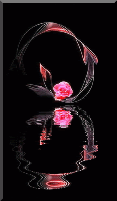 Animated flowers Pictures, Images and Photos