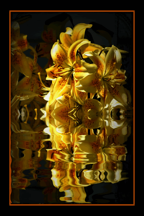 Animated flowers Pictures, Images and Photos