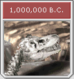 [Image: 1000000BC_icon_zps0d07e09d.png]