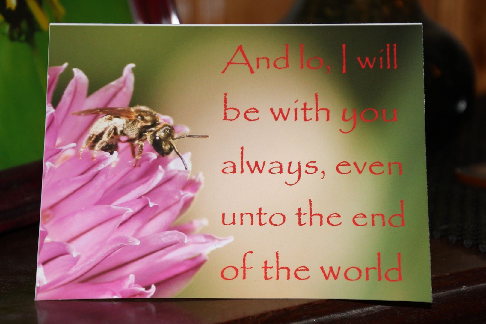 photo Easter card.jpg