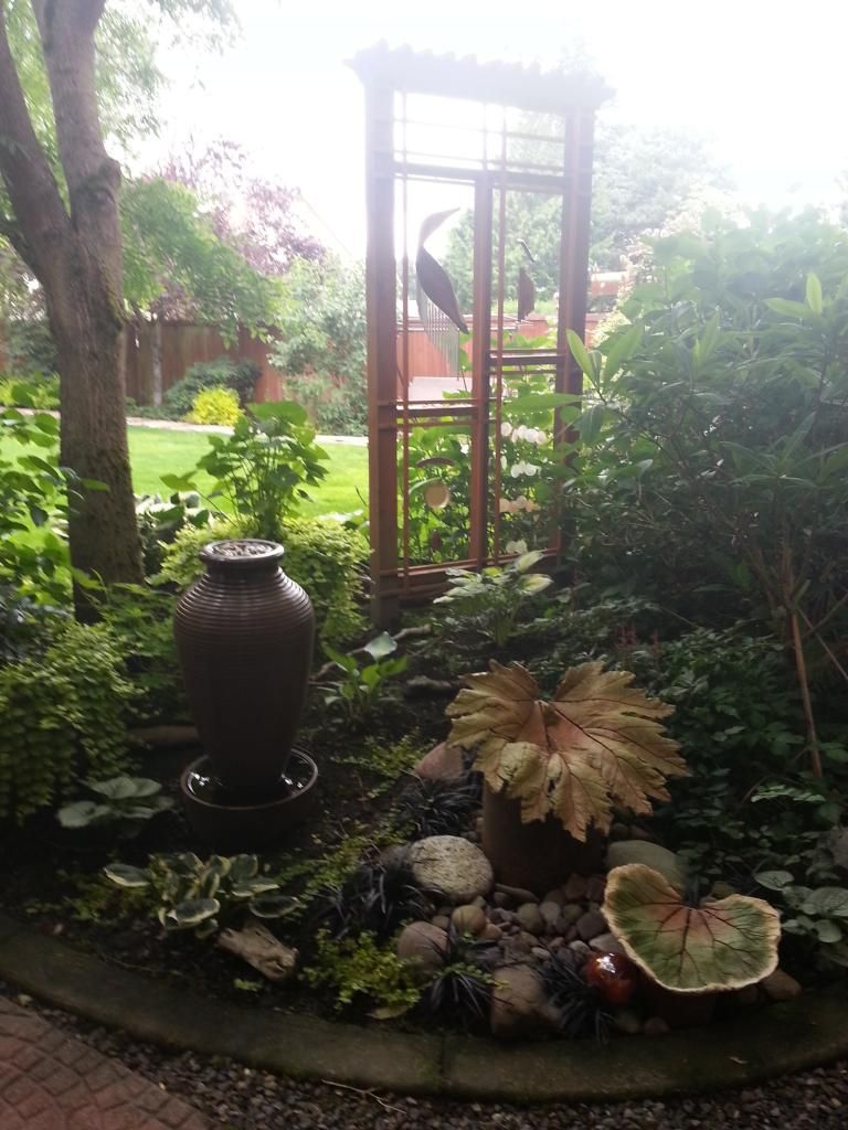  photo 20140615_113517_zpsbal1akin.jpg