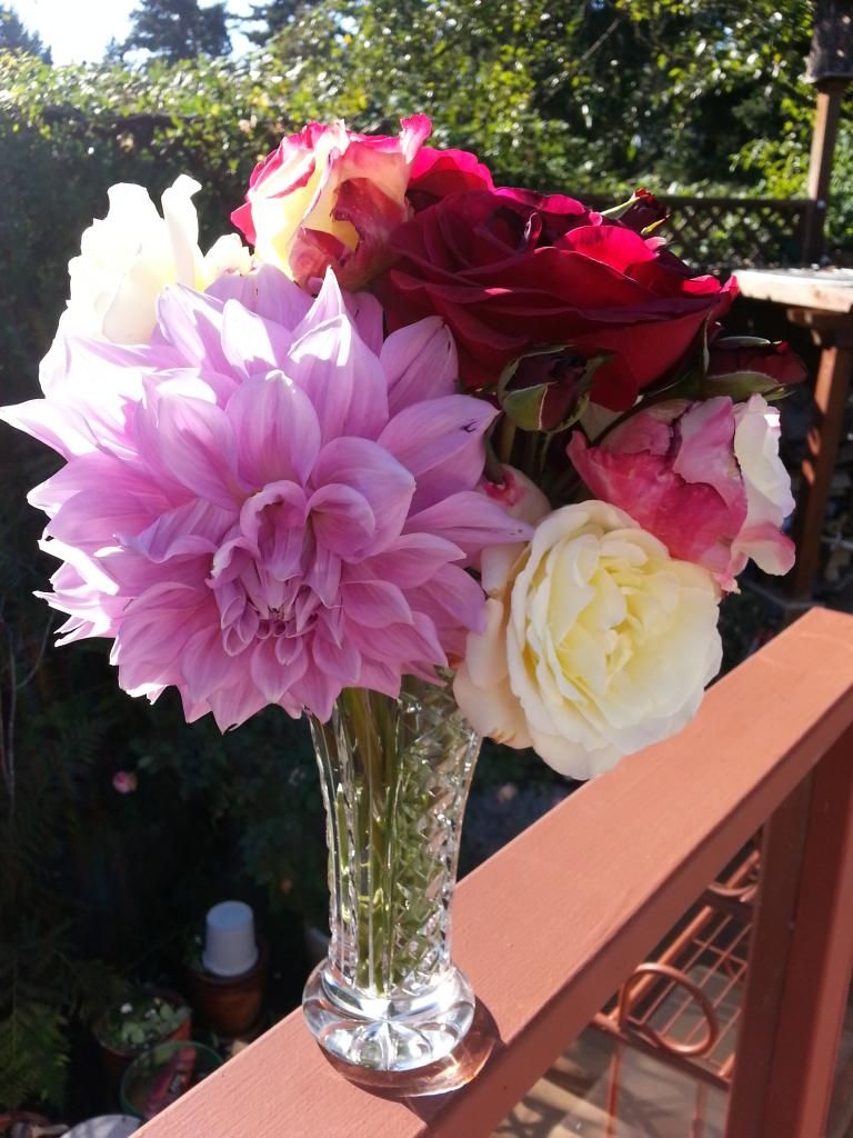  photo 20140907_163117_zpshkjkfuer.jpg