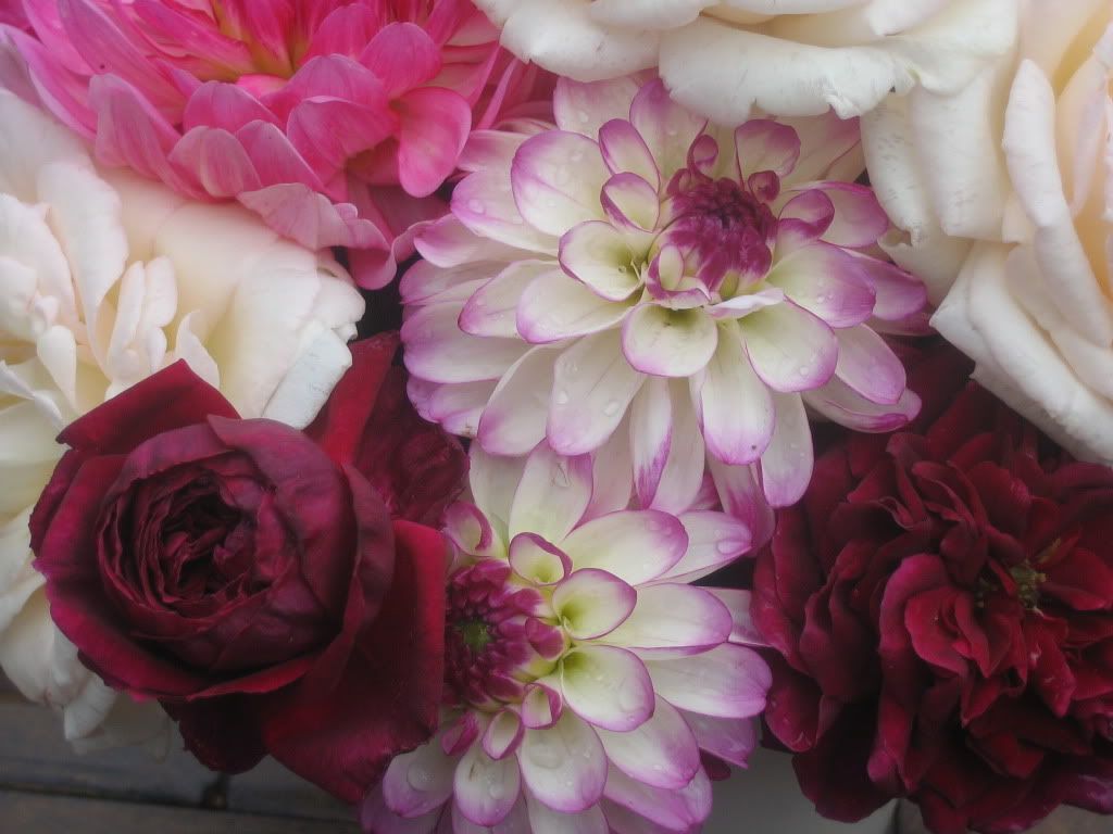 The Prince Bouquet photo IMG_1912.jpg