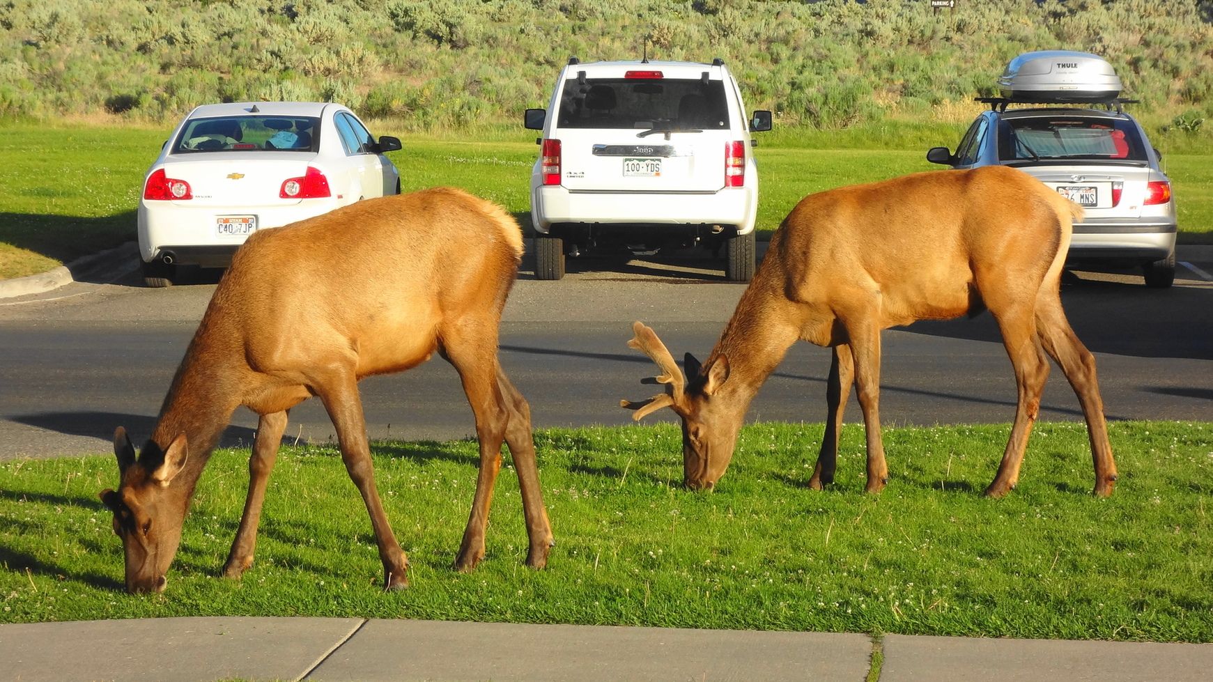 summer2012ride3.jpg