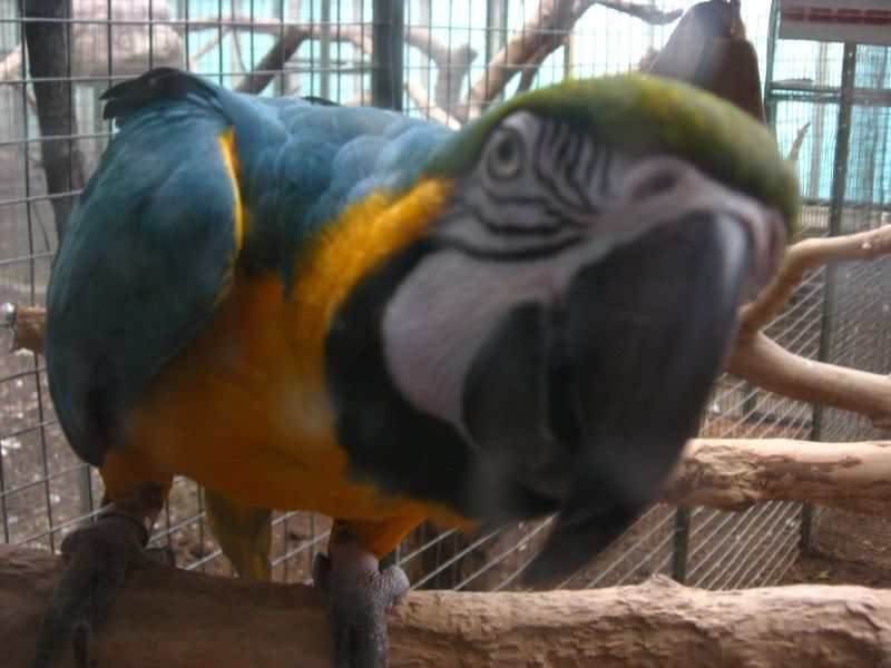 IMG_1142.jpg