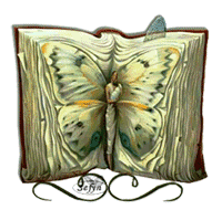 Animated Butterfly Book