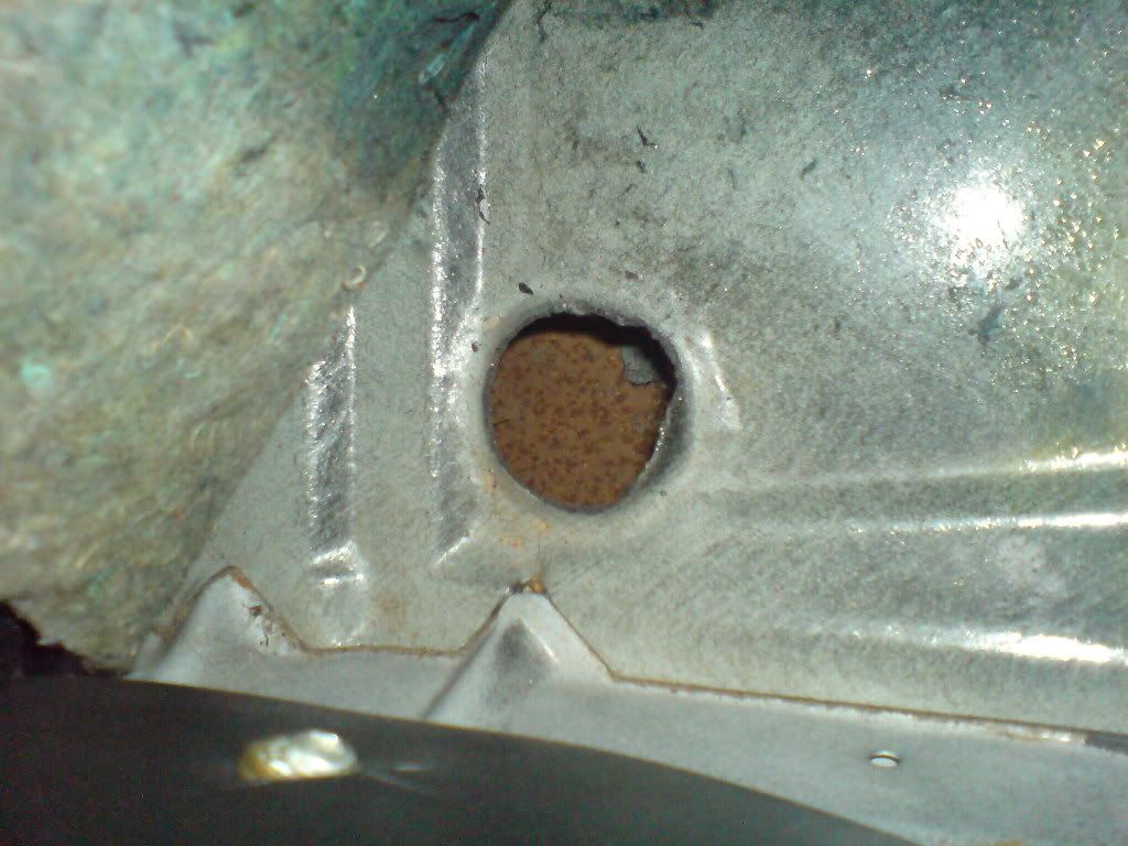 DSC00342.jpg