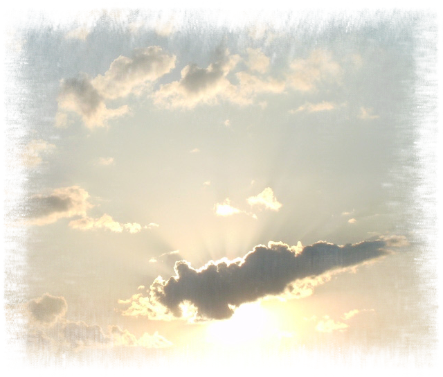 Home Page Image