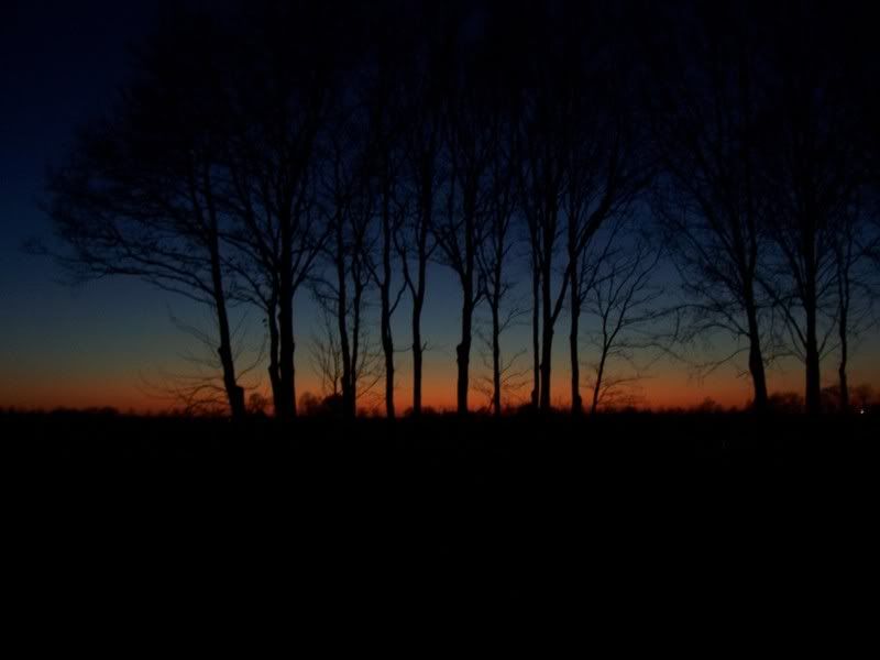 100_3161.jpg