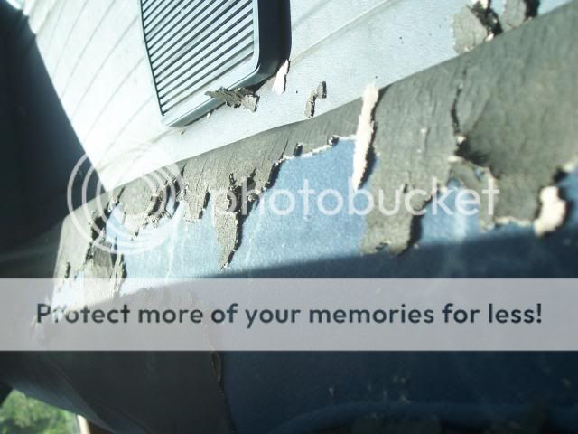 100_7599.jpg