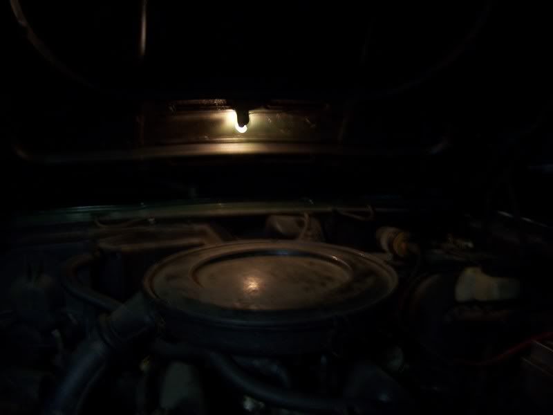 100_5608.jpg