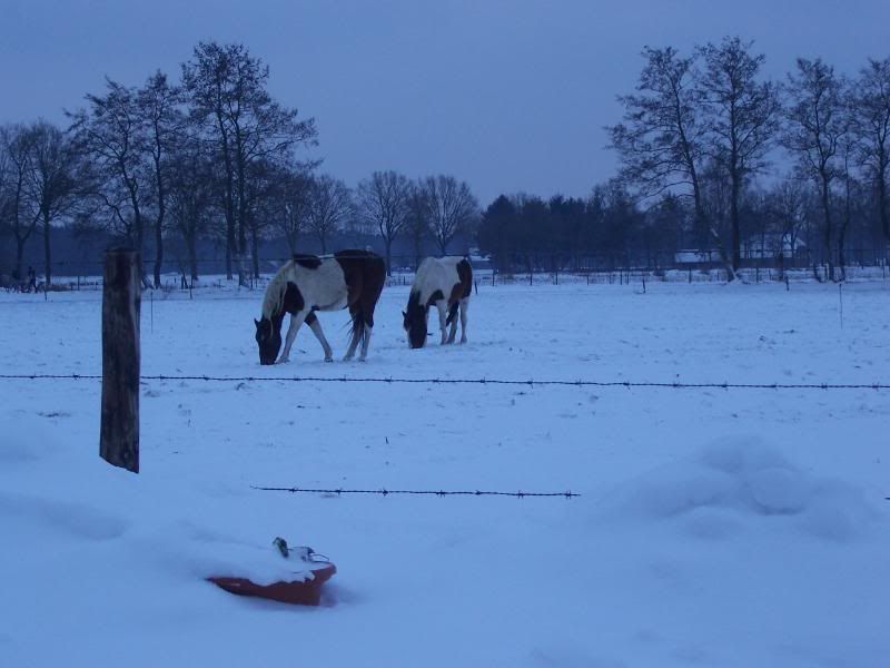 100_4728.jpg