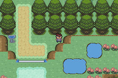 [PokeCommunity.com] {HOTW#78} ~Pokemon Elemental Curse~