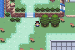 [PokeCommunity.com] {HOTW#78} ~Pokemon Elemental Curse~