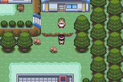 [PokeCommunity.com] {HOTW#78} ~Pokemon Elemental Curse~