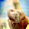 animal-challenge 15 photo animal-challenge 15_zps9xtq5jko.png