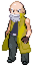 [PokeCommunity.com] Pokemon Tellurium Version