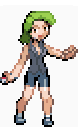 [PokeCommunity.com] Pokemon Tellurium Version