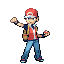 [PokeCommunity.com] Pokémon FR/LG Monotype Challenge