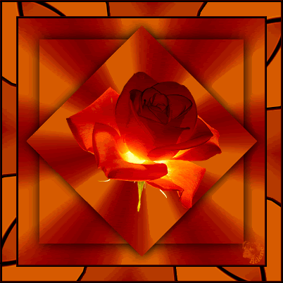 rose.gif rose picture by darmarka02
